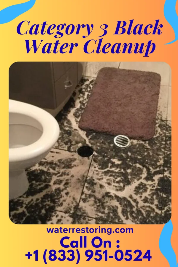 Category 3 Black Water Cleanup in Minnesott Beach, NC