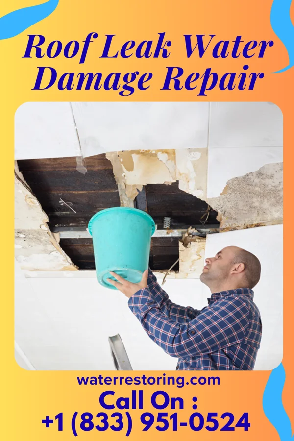 Roof Leak Water Damage Repair in Minnesott Beach, NC